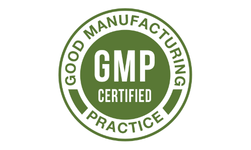 MemoVolt GMP